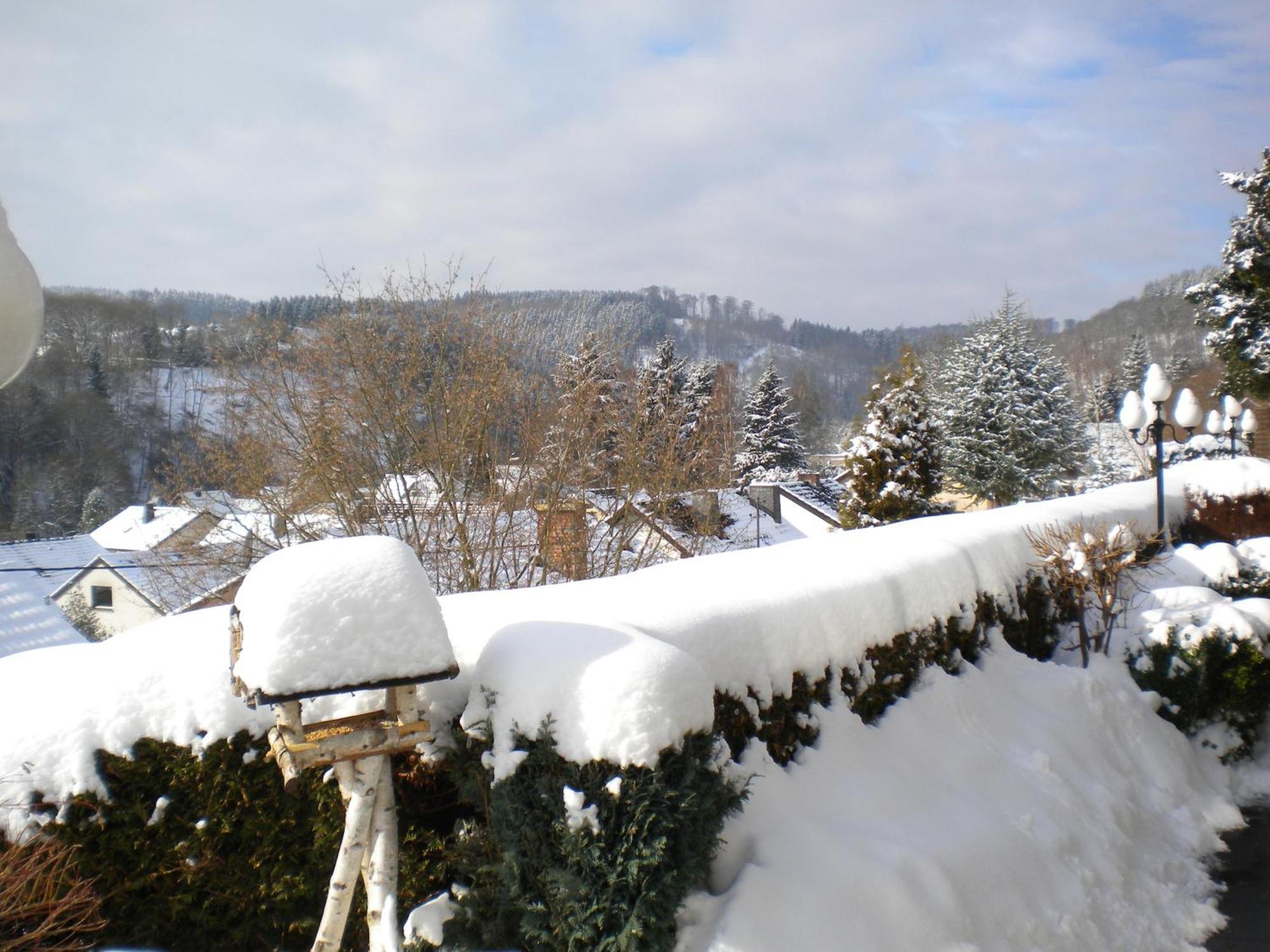 Hotel Pension Haus Berghof Hellenthal Exterior photo